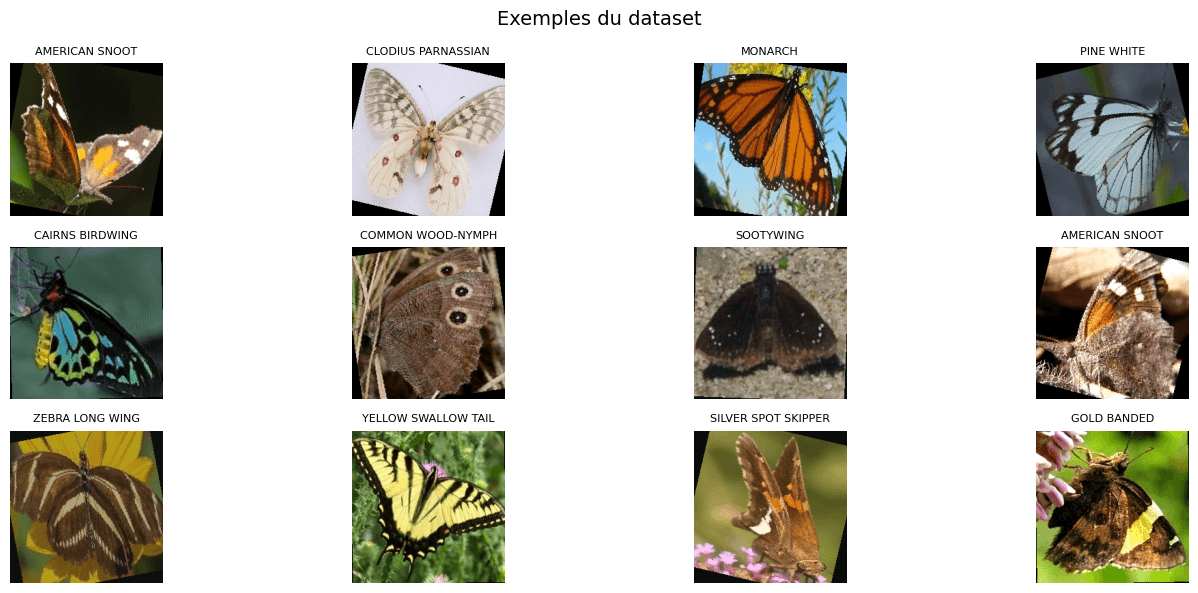 Per-species performance summary and confusion analysis