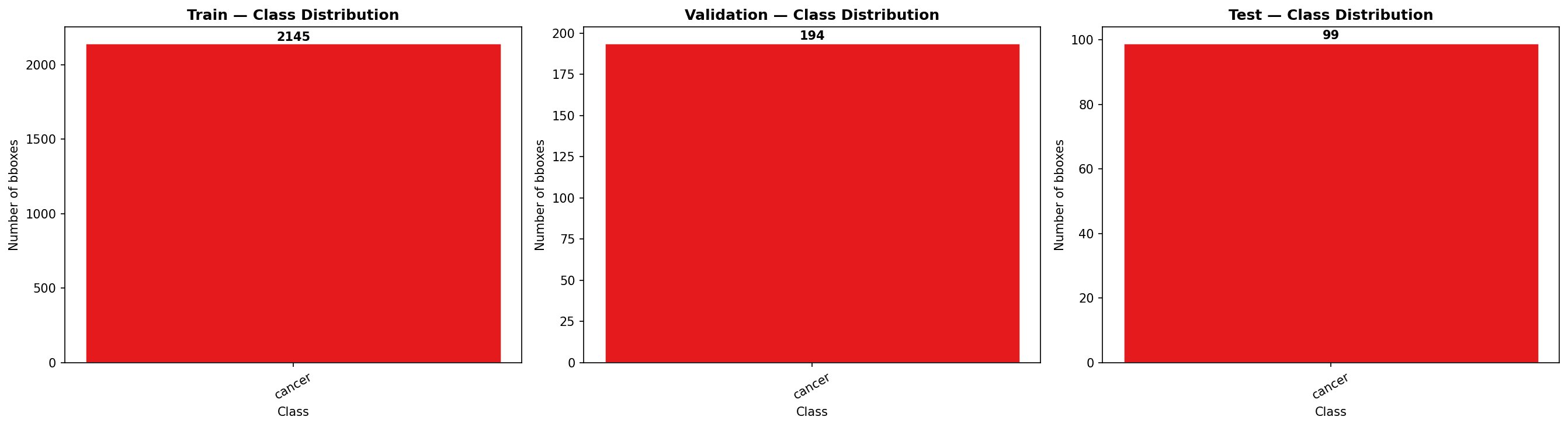 Cancer Detection — YOLOv8 (n/s/m)