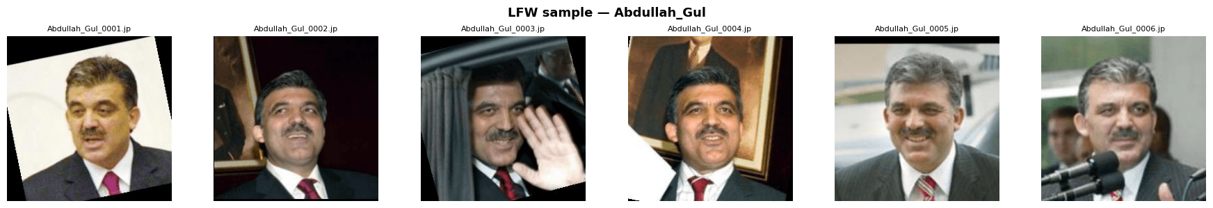 Face Recognition Person Search