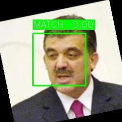 Top match #1 — Euclidean distance to anchor embedding
