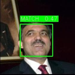 Top match #2 — correct identity retrieved from 13K images